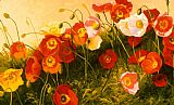Shirley Novak Poppies In Celebration painting